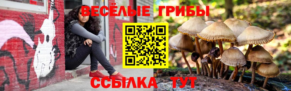 Псилоцибиновые грибы Magic Shrooms Звенигород